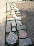 Pavers with various thyme plantings to fill in the spaces