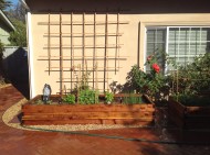 Vegetable planter boxes and climbing vine structure