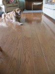 Oak floor in living room